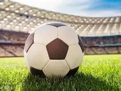 青岛主帅夫,人强调,才华横溢之,火狐官网,火狐体育APP,HuoHu,火狐平台