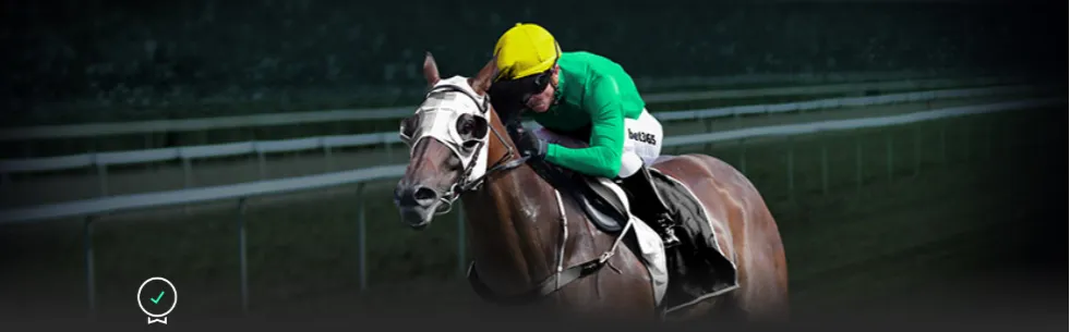 乌迪内斯主,场对决帕尔,意甲焦点赛,火狐官网,火狐体育APP,HuoHu,火狐平台