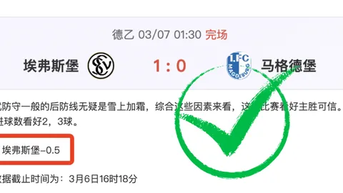 大乐透期号专家精准推荐：质合分析稳中求胜